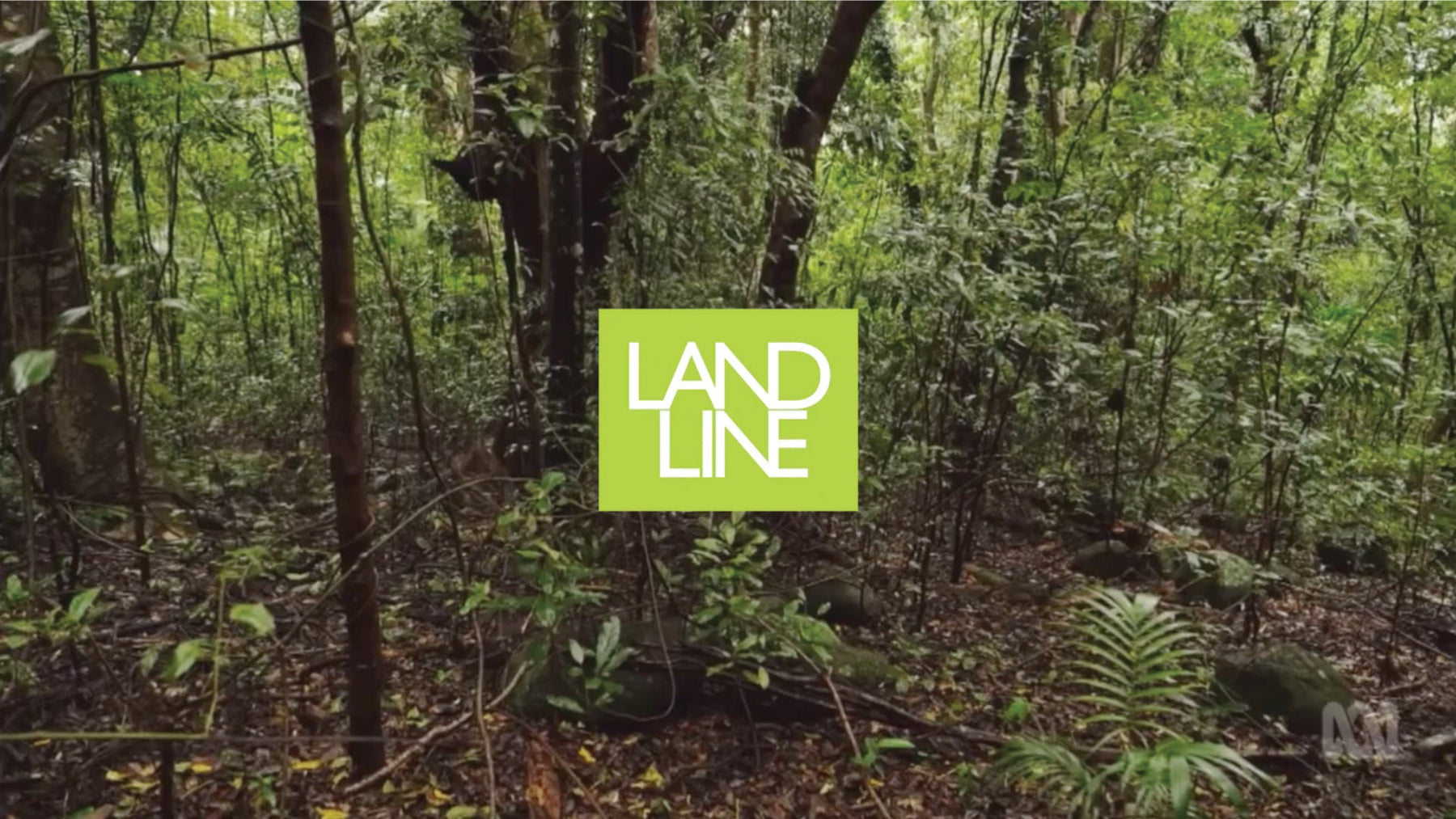 ABC Landline: Science Saving Rainforests program by Big Scrub Rainforest Conservancy