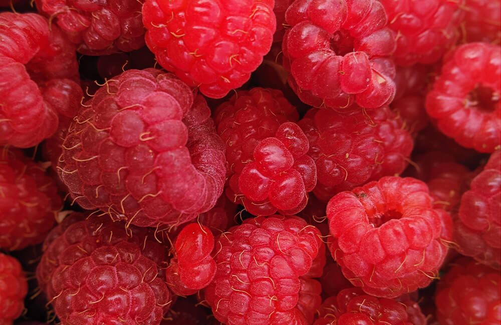 Raspberry: A Naturally Sweet Superfruit in Our Low Sugar Granola Macadamia Raspberry