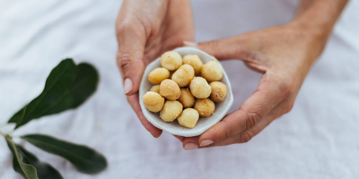 33_Fact_About_Macadamia_BANNER_1200x600_crop_center.jpg?v=1639541324