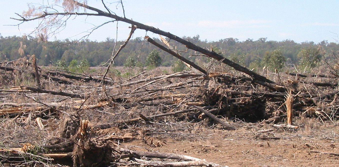 Neil Perry's Open Letter to Premier Baird - Brookfarm