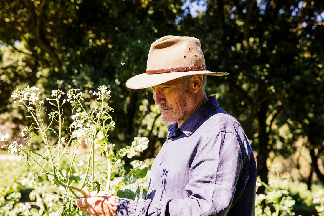 A man in a wide-brimmed hat examining white wildflowers in a lush forest setting.