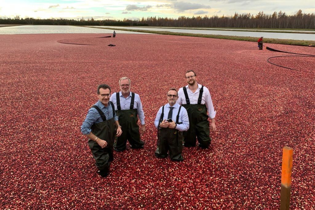 Our Ingredients: Showcasing Cranberries