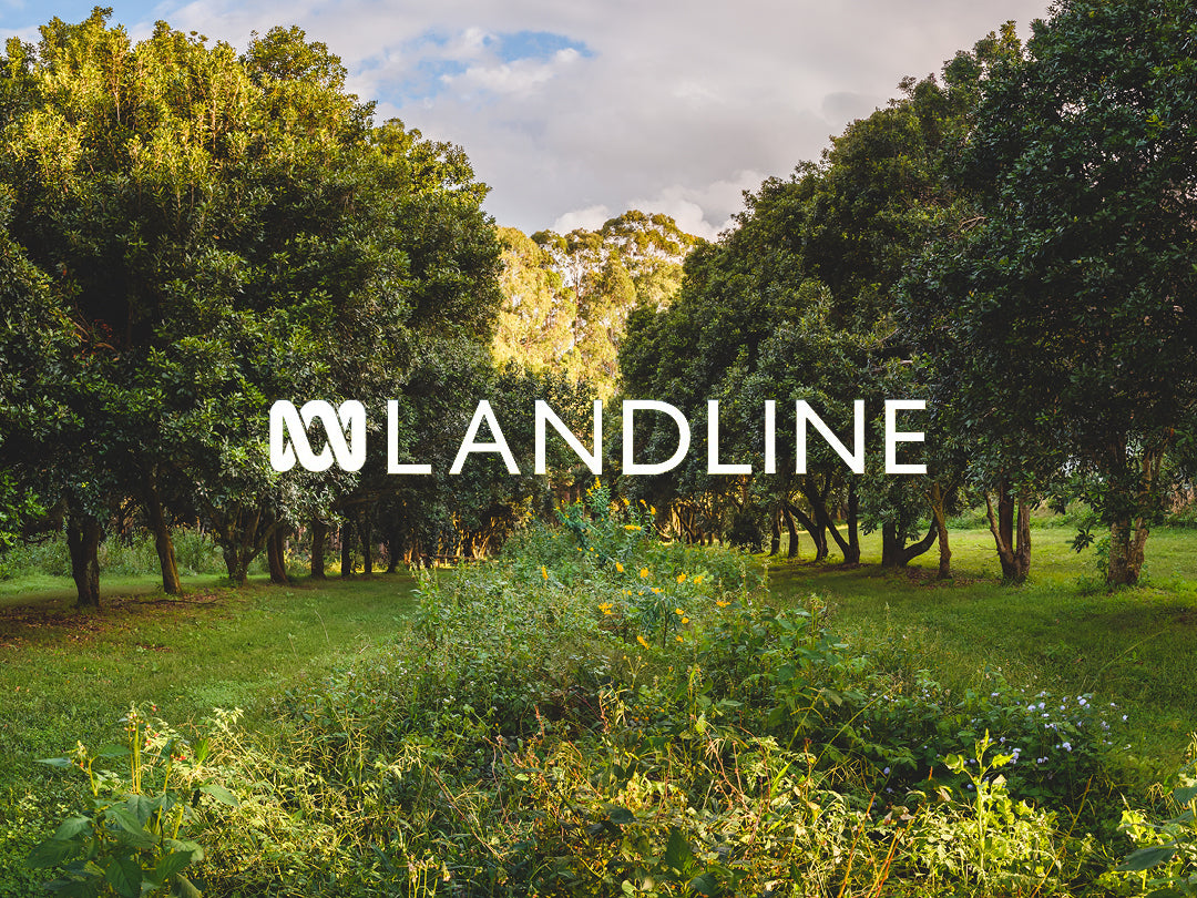 ABC Landline: Speaks to the Brook family on Byron Bay Brookfarm