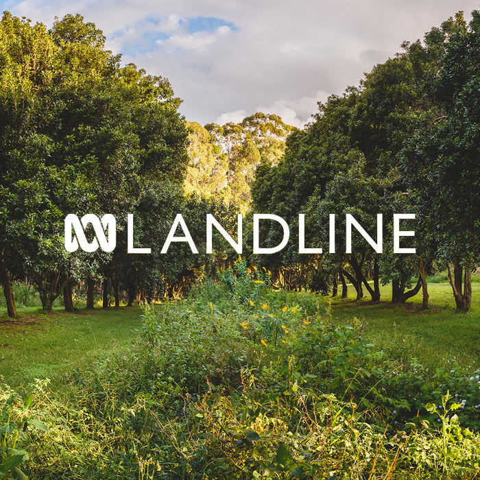 ABC Landline: Speaks to the Brook family on Byron Bay Brookfarm