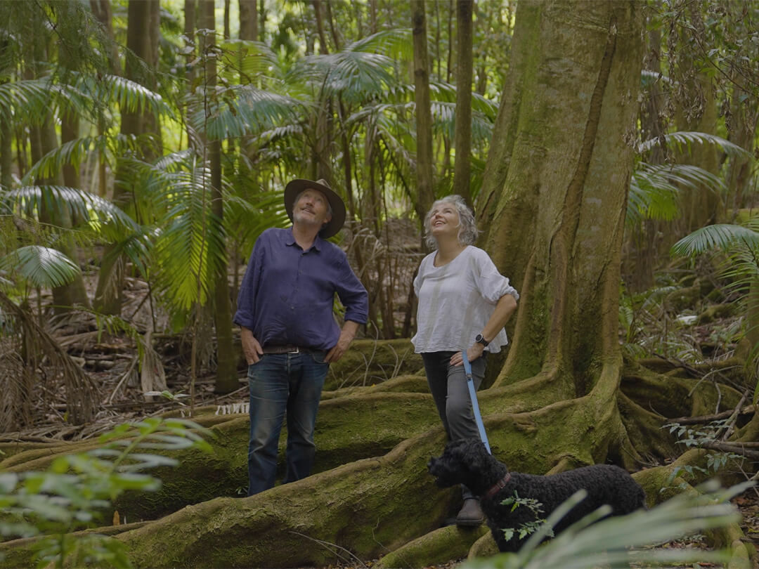 Watch The Brookfarm Story: An Australian made story that starts in the rainforest on the family farm