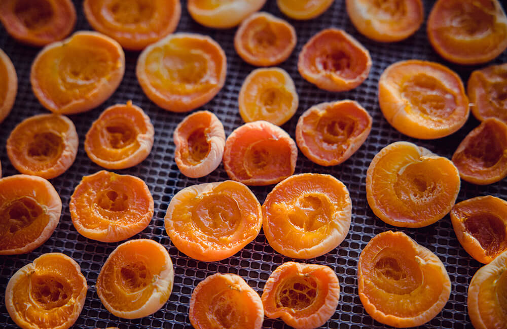 Apricot - Brookfarm