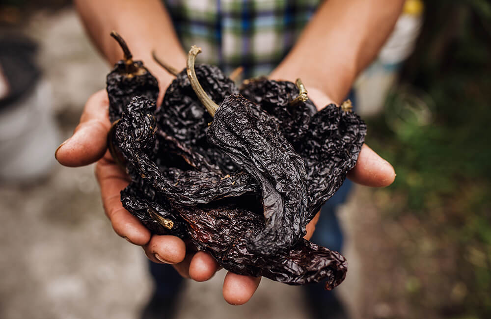 Ancho Chilli