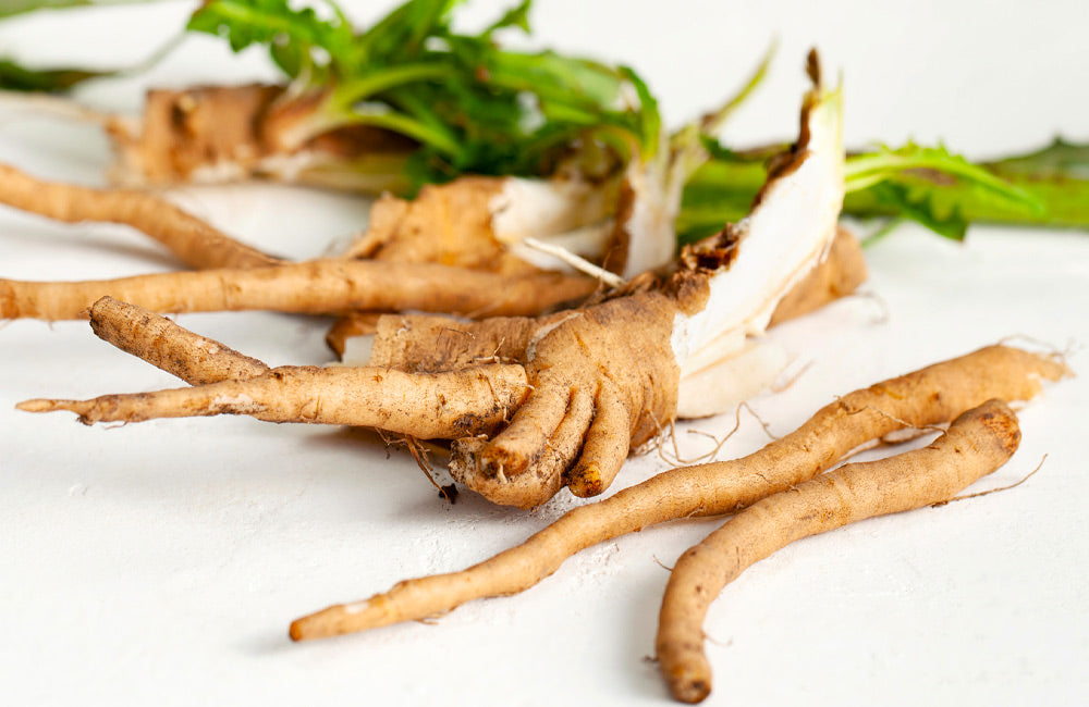 Inulin from Chicory Root - Natural prebiotic fiber for gut health