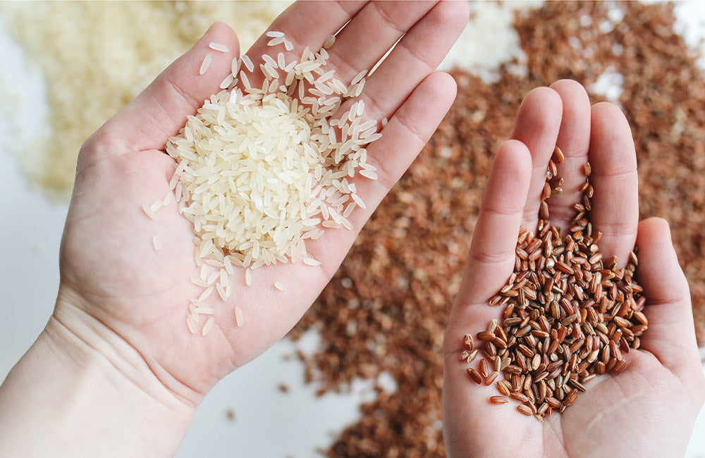 Rice | Brookfarm