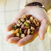 Hand holding a variety of nuts against a blurred background